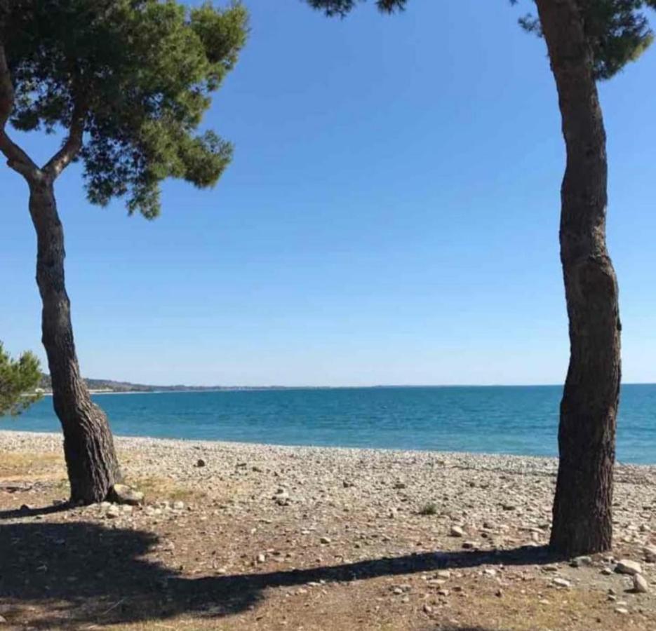 מונטג'ורדאנו La Casa Al Mare Corallo Verde מראה חיצוני תמונה
